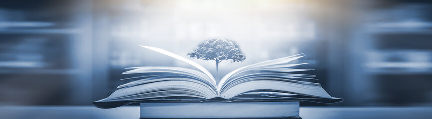 数学大迷思的手抄报 数学手抄报