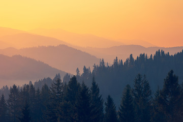 三伏天养生小知识