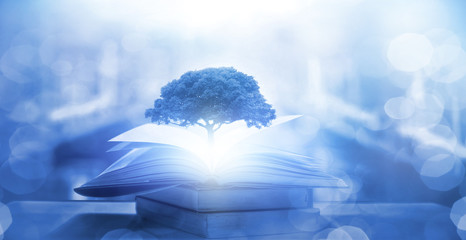 数学大迷思的手抄报 数学手抄报