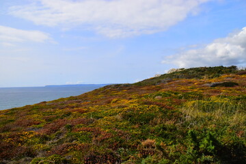 父亲的车能过户给儿子吗
