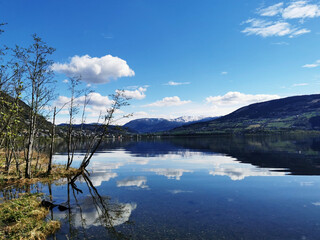 早安心语：发朋友圈的清晨短句