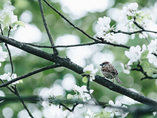 送女客户什么礼物