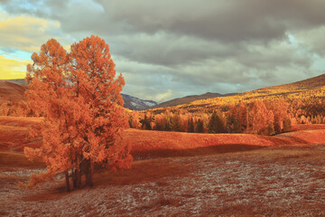 车辆温度传感器坏了有什么特征？